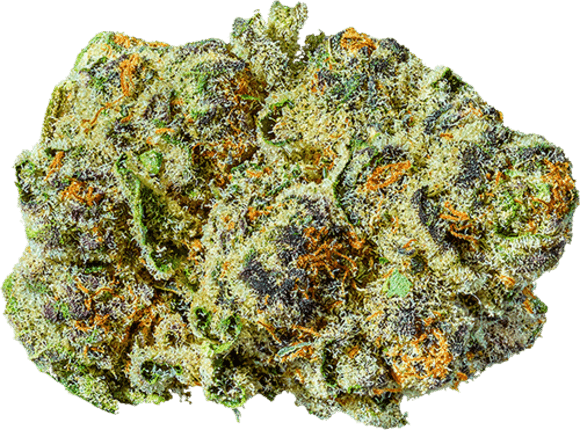 Pablo's Revenge image 1